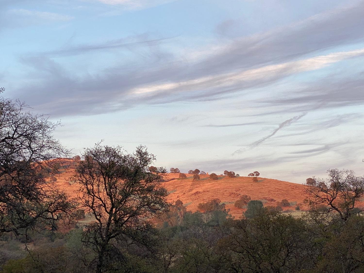 Scott Forbes Road, Browns Valley, California image 3