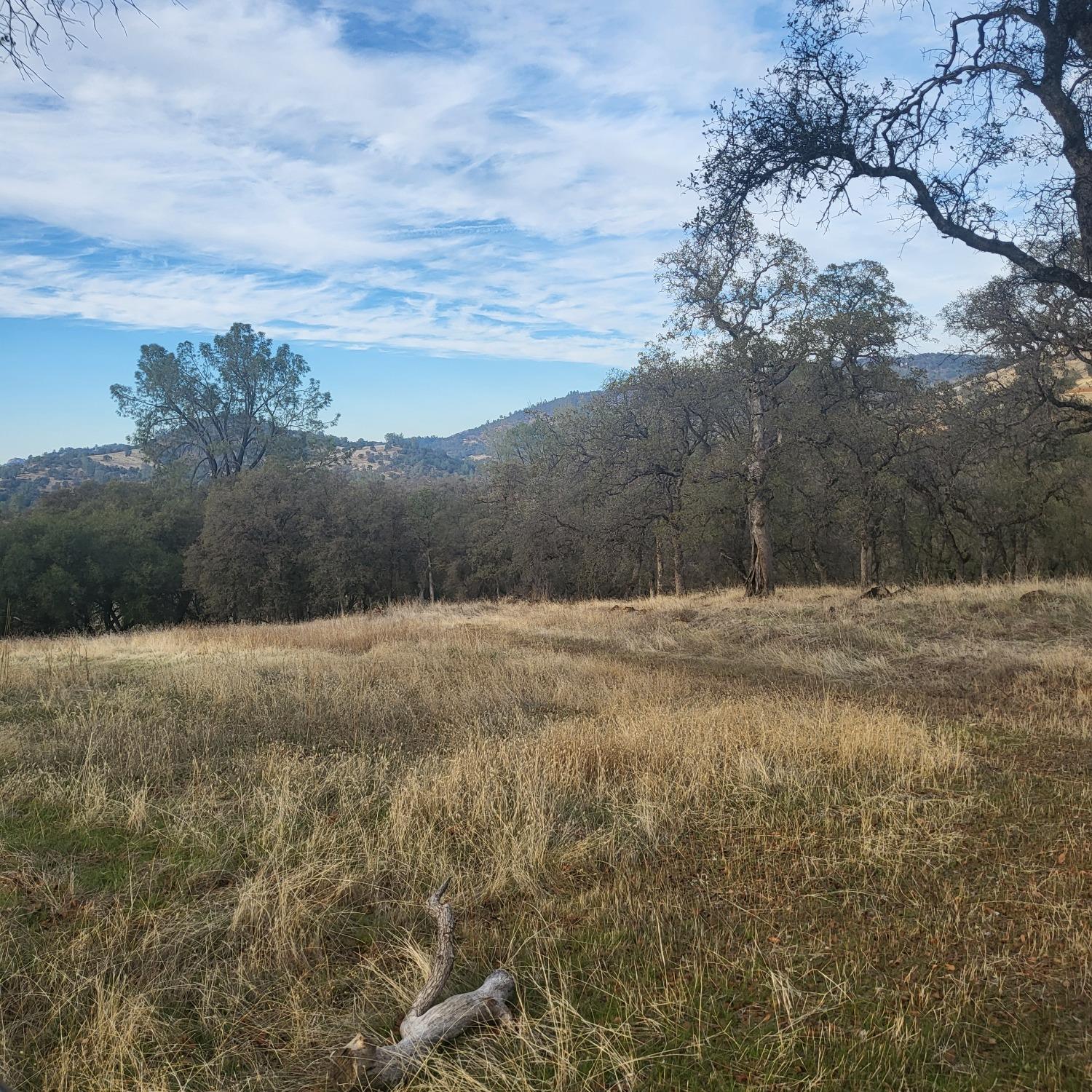 Scott Forbes Road, Browns Valley, California image 8