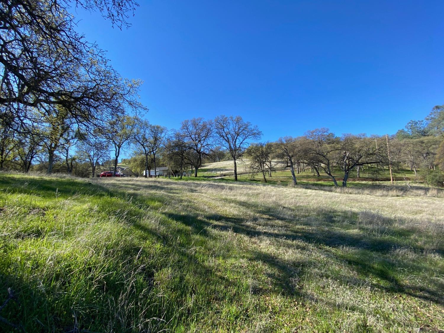 Scott Forbes Road, Browns Valley, California image 5