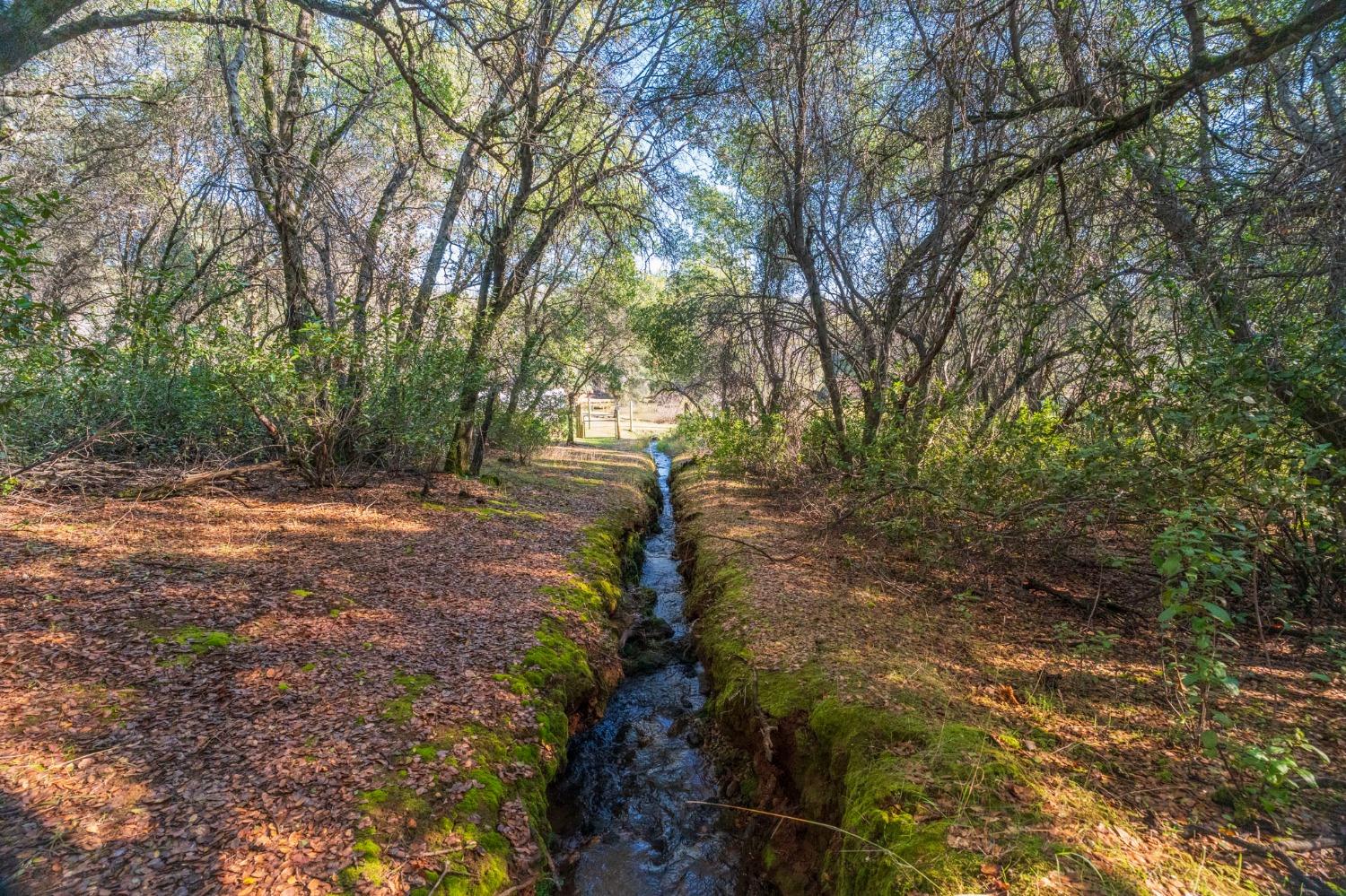 Richmar Lane, Grass Valley, California image 30