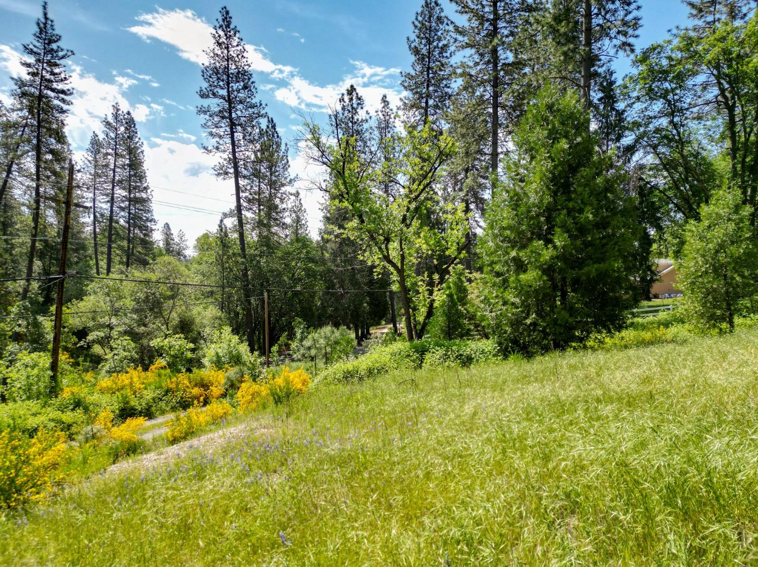 Bitney Springs Road, Nevada City, California image 38