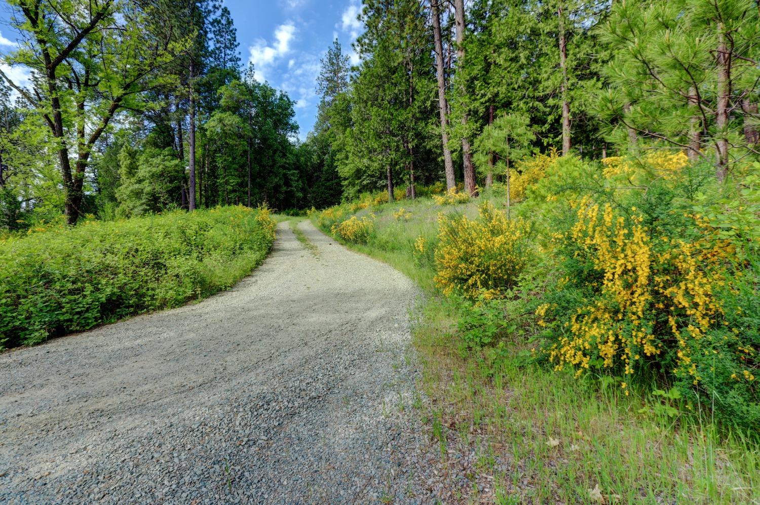 Bitney Springs Road, Nevada City, California image 9