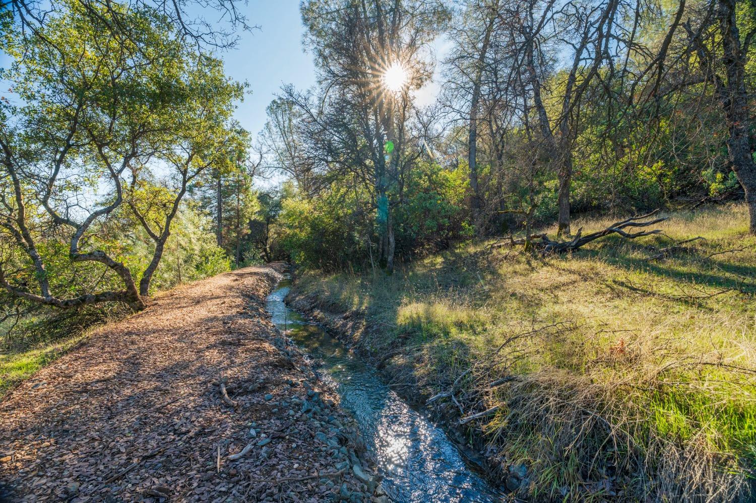 Richmar Lane, Grass Valley, California image 1