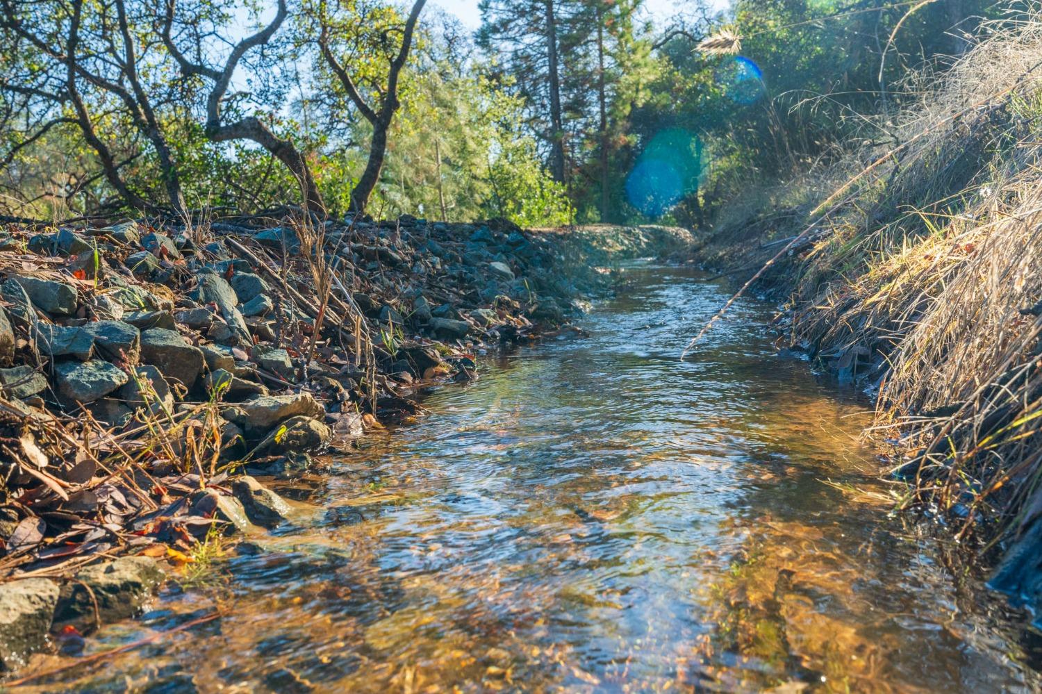 Richmar Lane, Grass Valley, California image 3