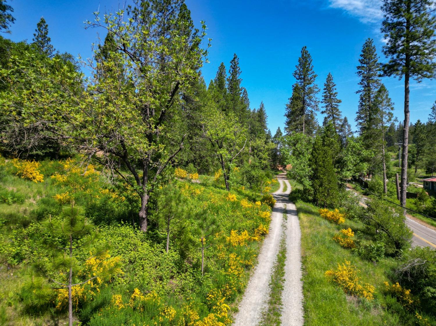 Bitney Springs Road, Nevada City, California image 49