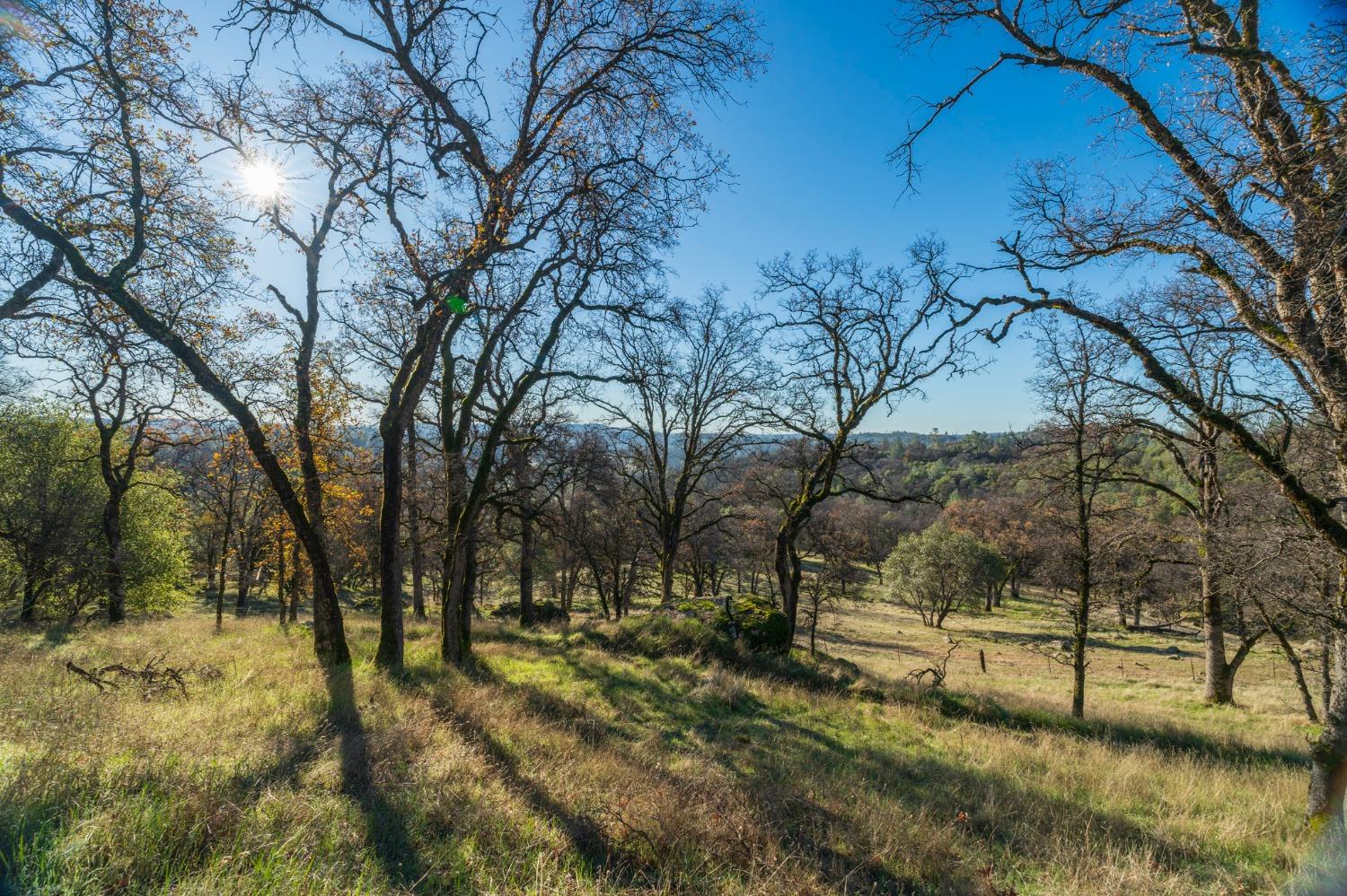 Richmar Lane, Grass Valley, California image 4