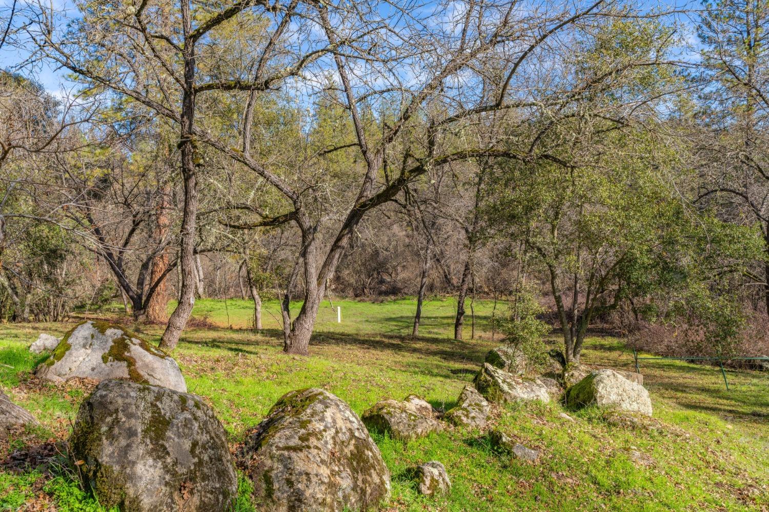 Emigrant Trail, River Pines, California image 23