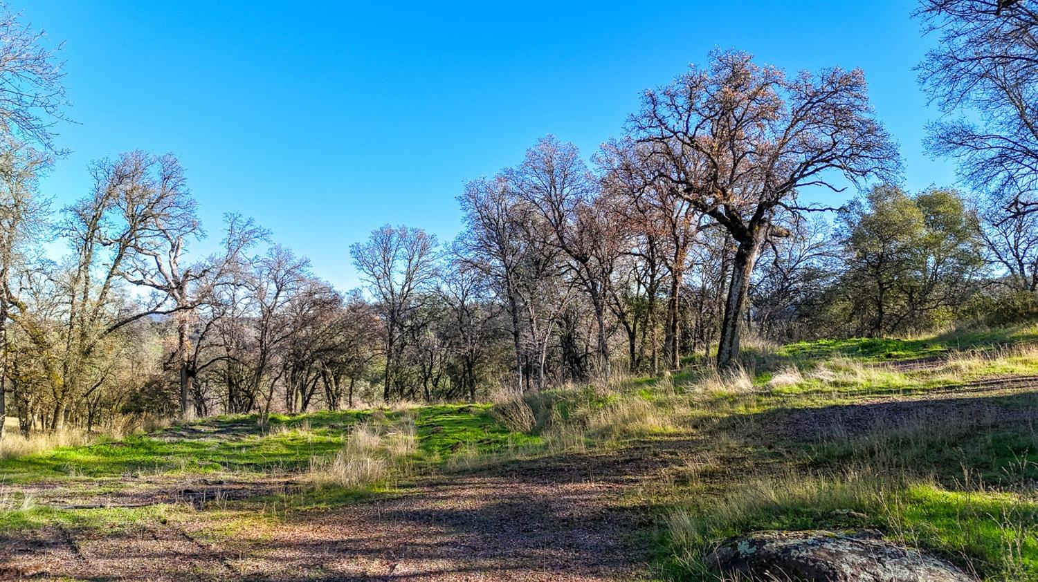 Richmar Lane, Grass Valley, California image 10