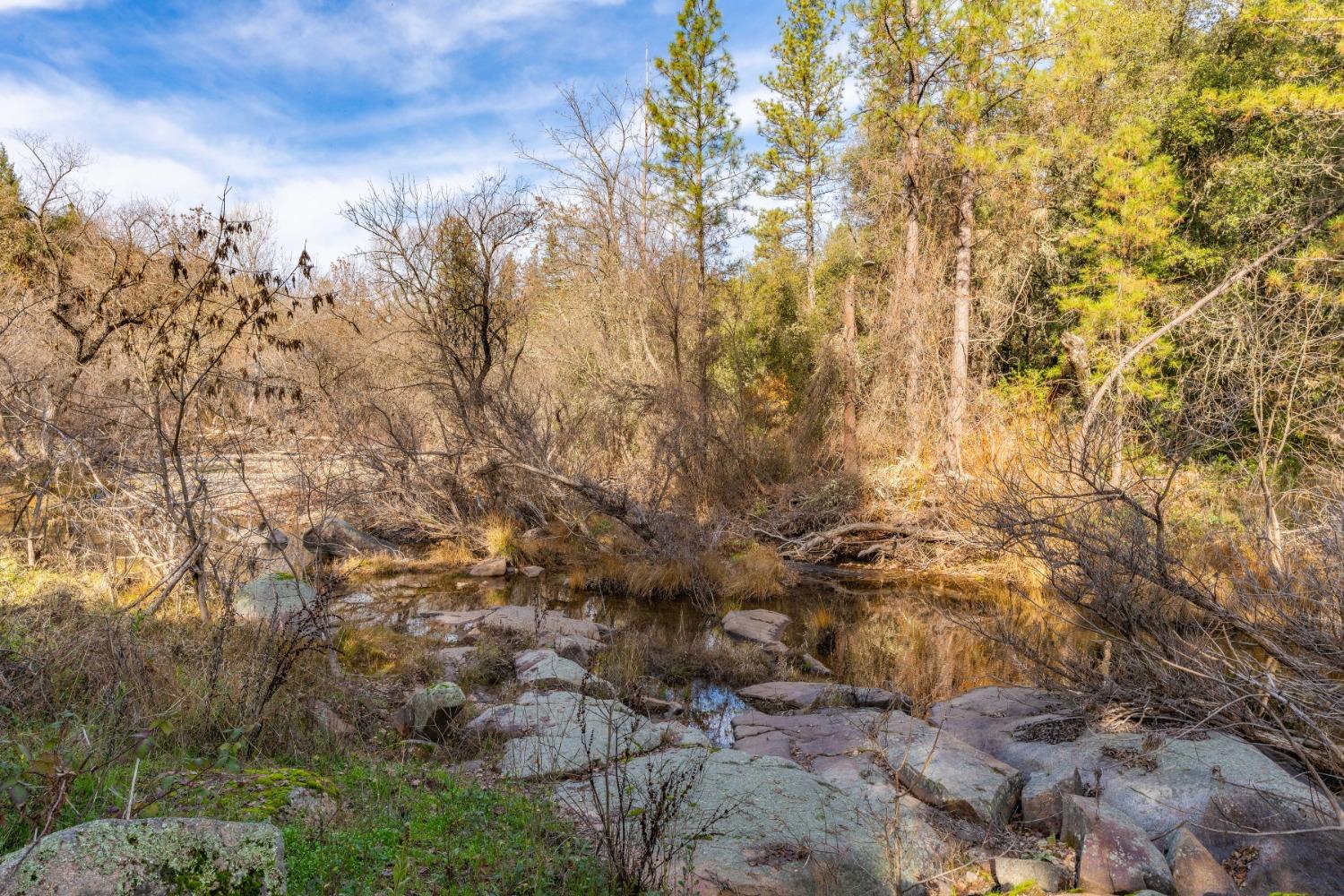 Emigrant Trail, River Pines, California image 2