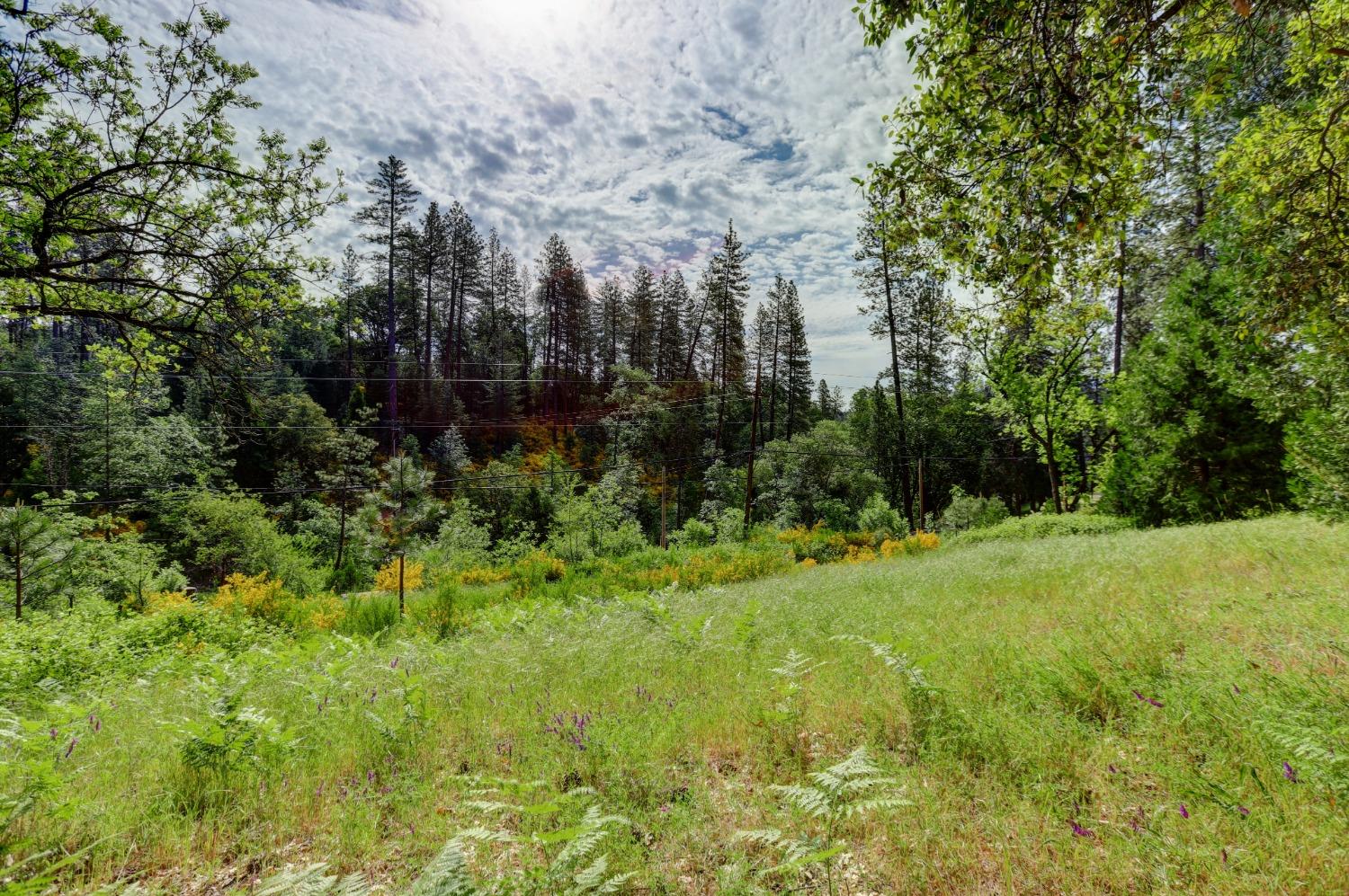 Bitney Springs Road, Nevada City, California image 8