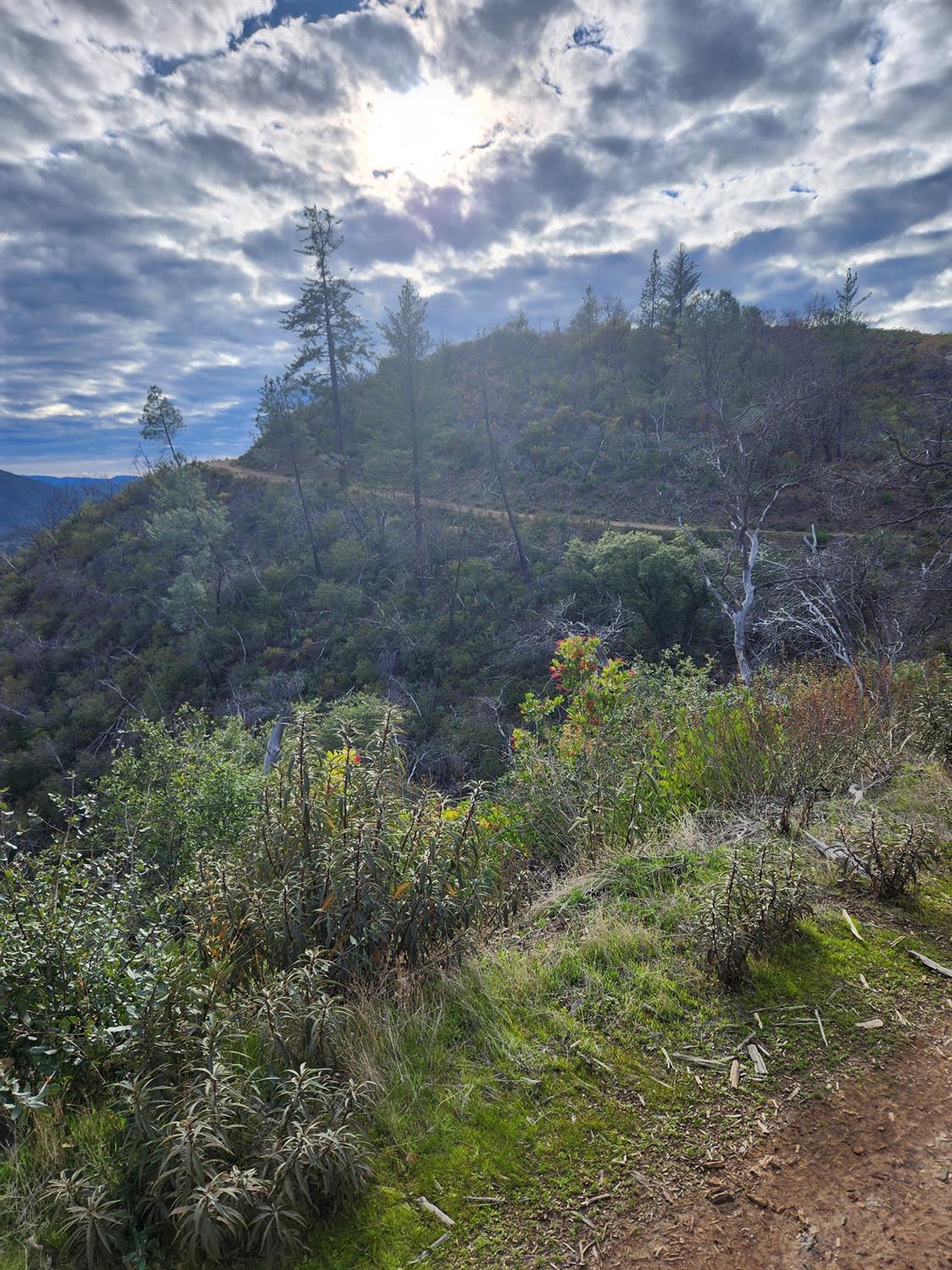 Gill Haven Drive, Mokelumne Hill, California image 2