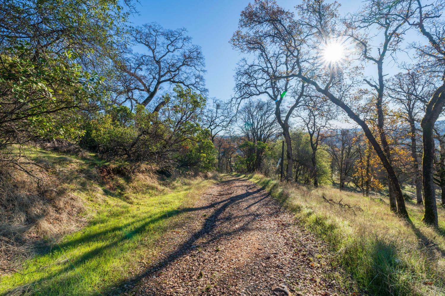 Richmar Lane, Grass Valley, California image 6