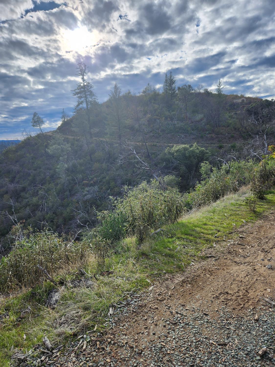 Gill Haven Drive, Mokelumne Hill, California image 1