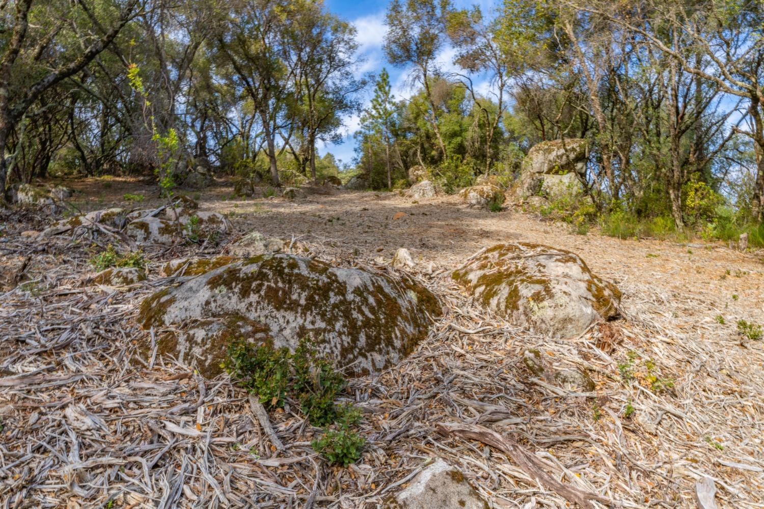 Emigrant Trail, River Pines, California image 28