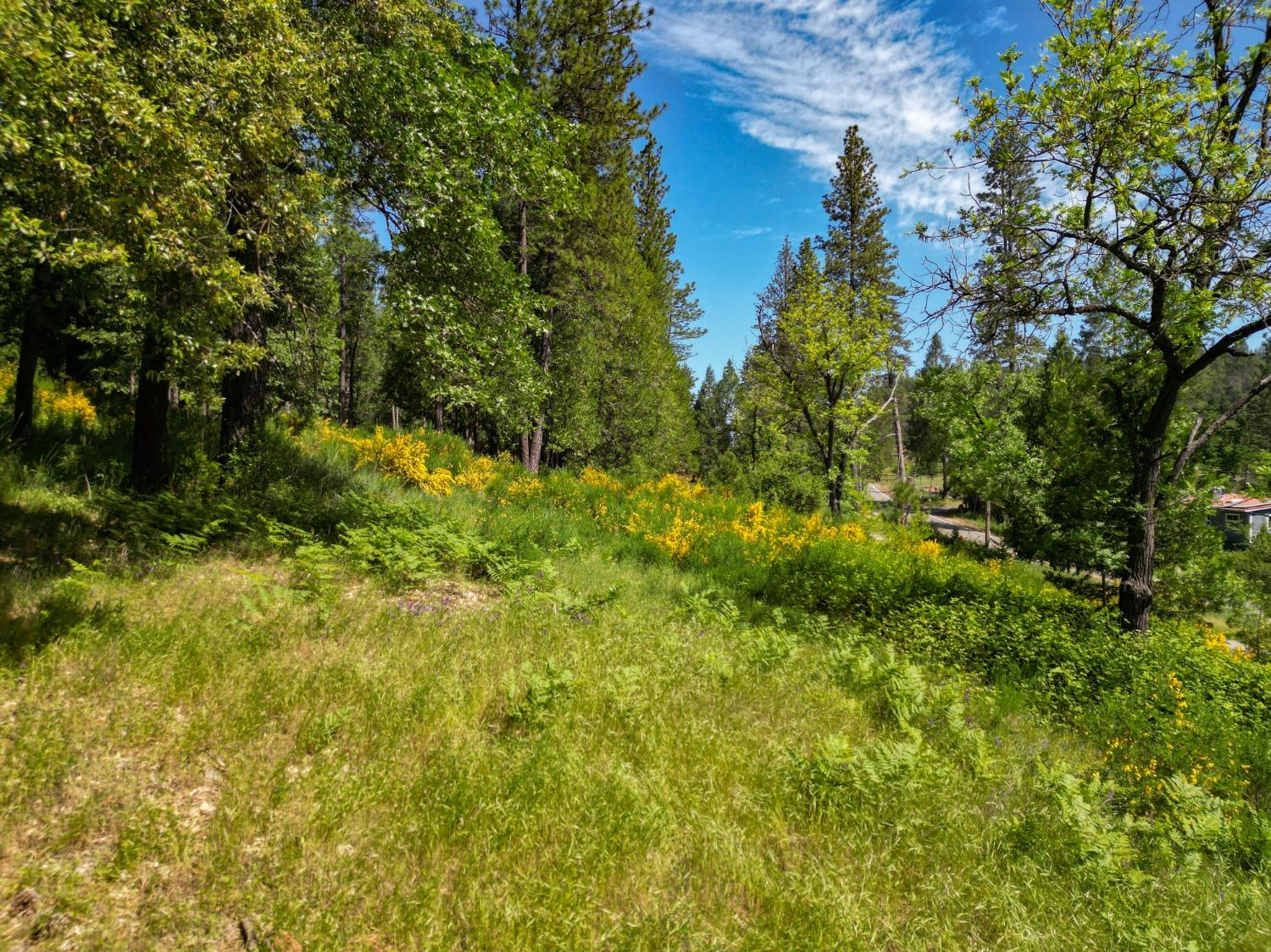 Bitney Springs Road, Nevada City, California image 44