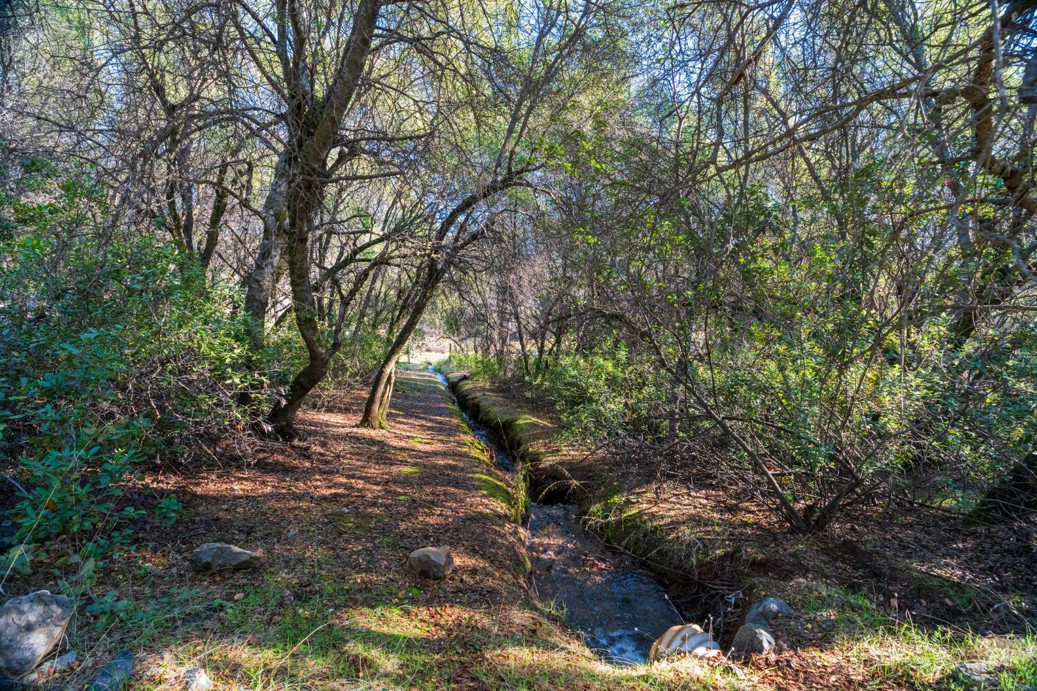 Richmar Lane, Grass Valley, California image 7