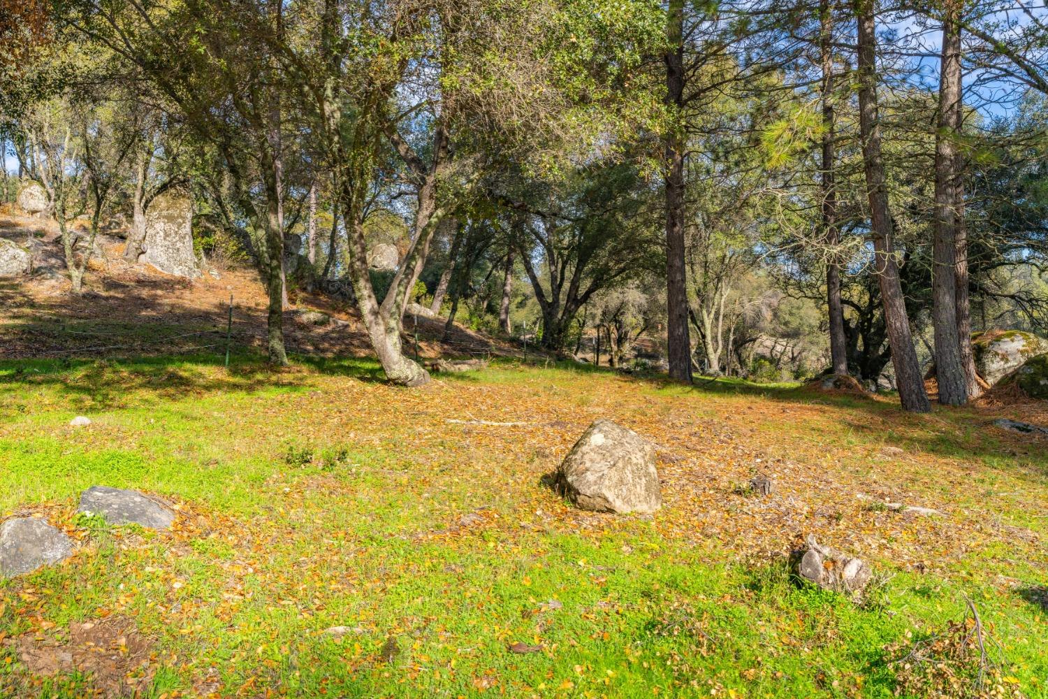 Emigrant Trail, River Pines, California image 6