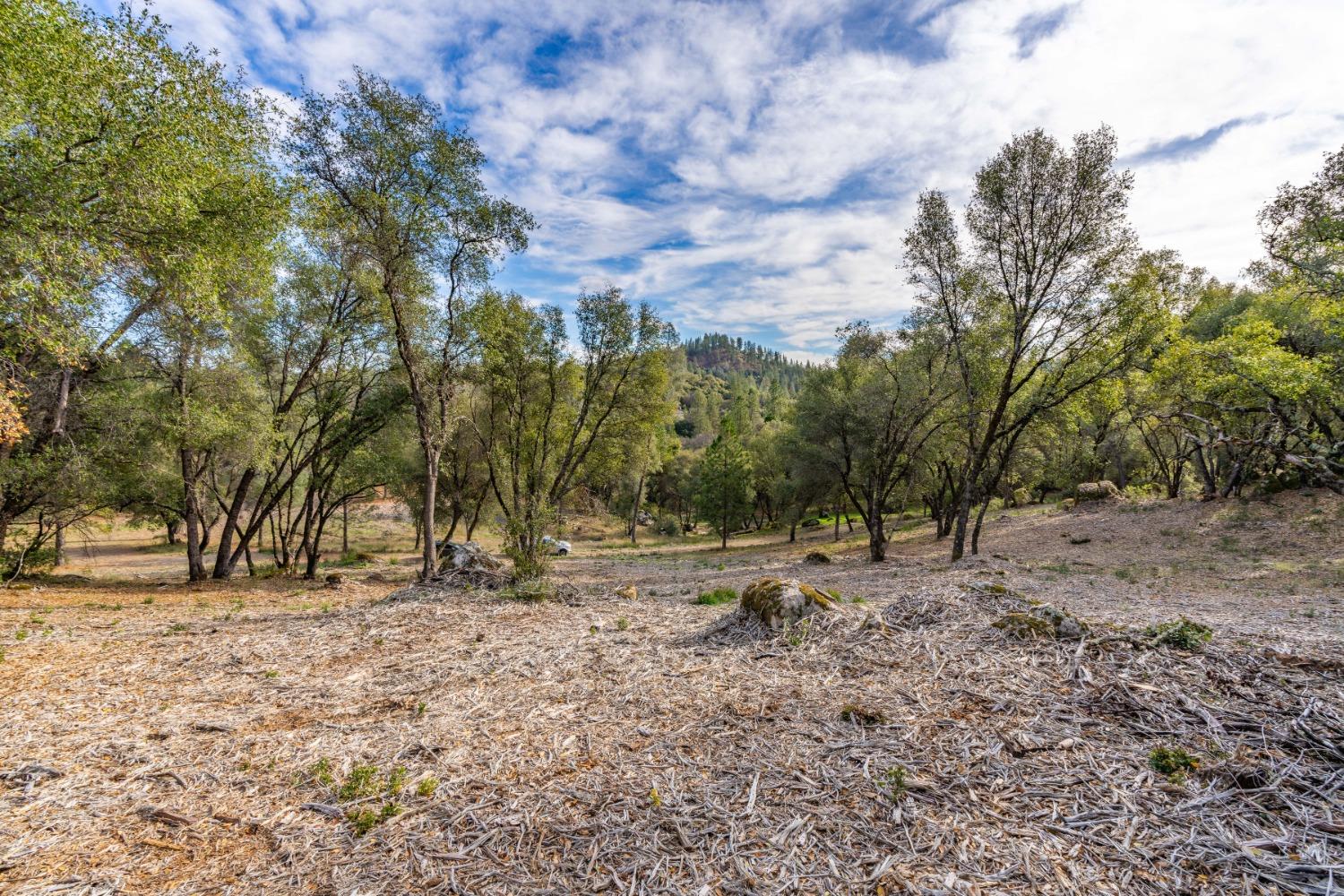 Emigrant Trail, River Pines, California image 10