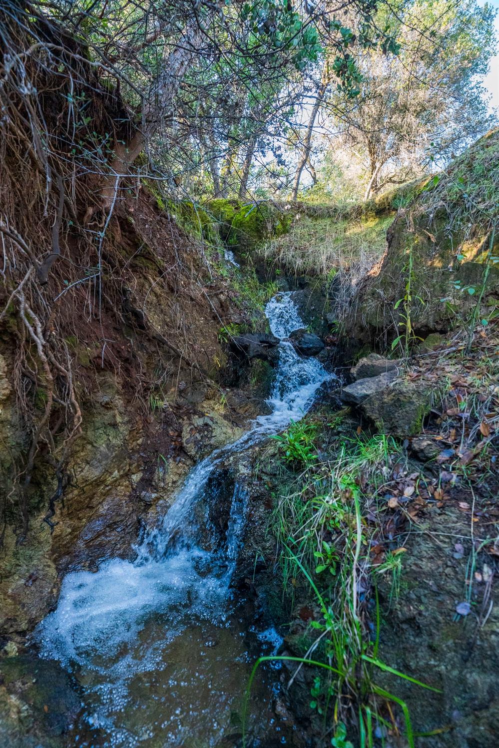 Richmar Lane, Grass Valley, California image 8