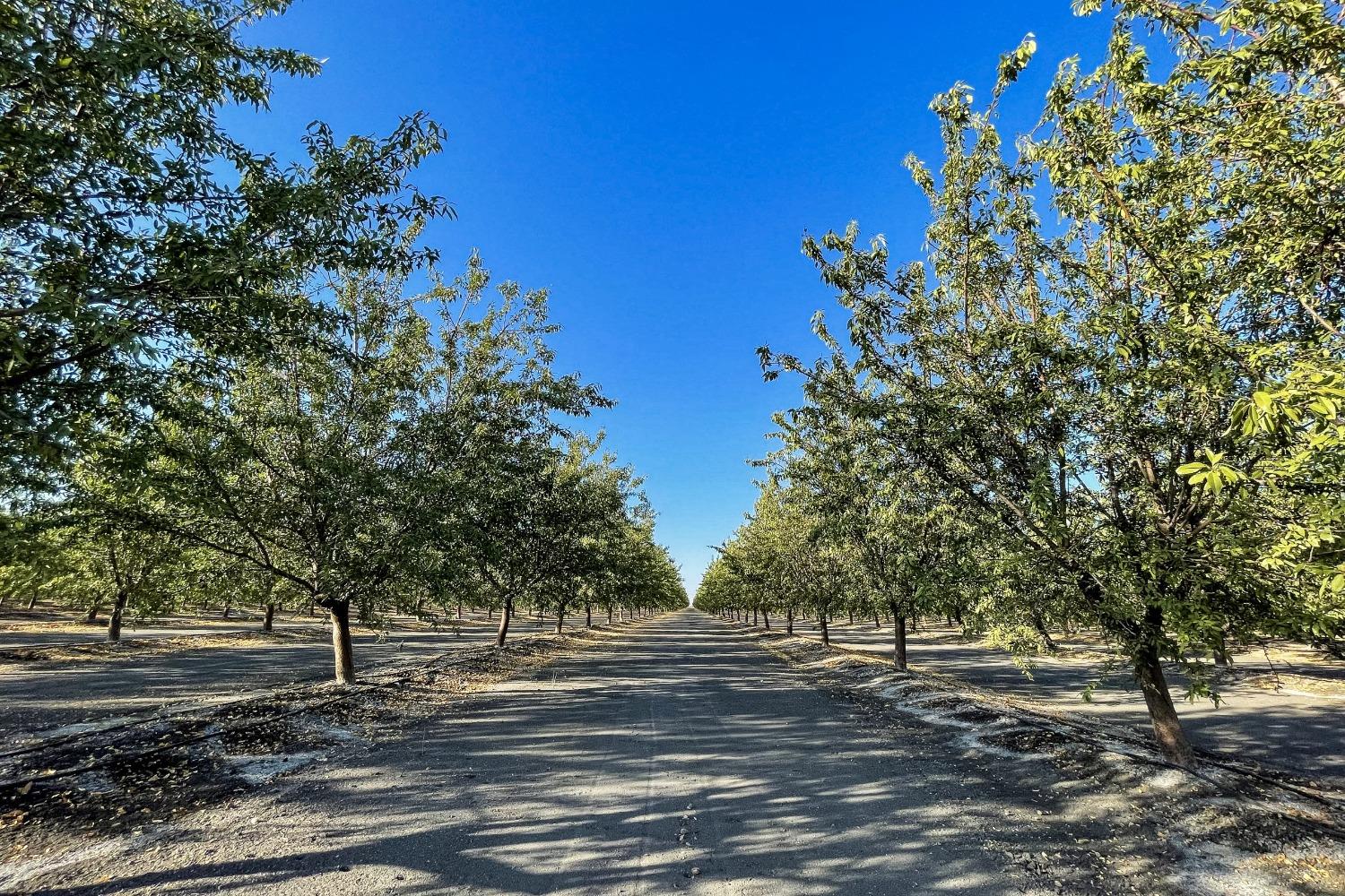 S James Road, Tranquillity, California image 21