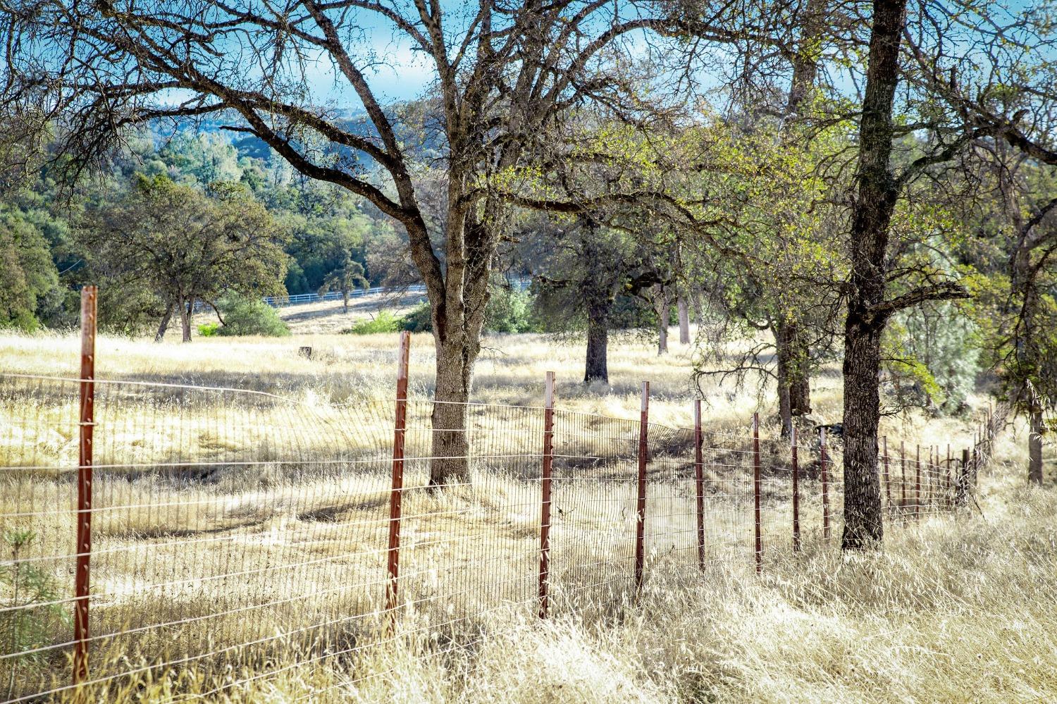 Macdonald Road, Grass Valley, California image 3