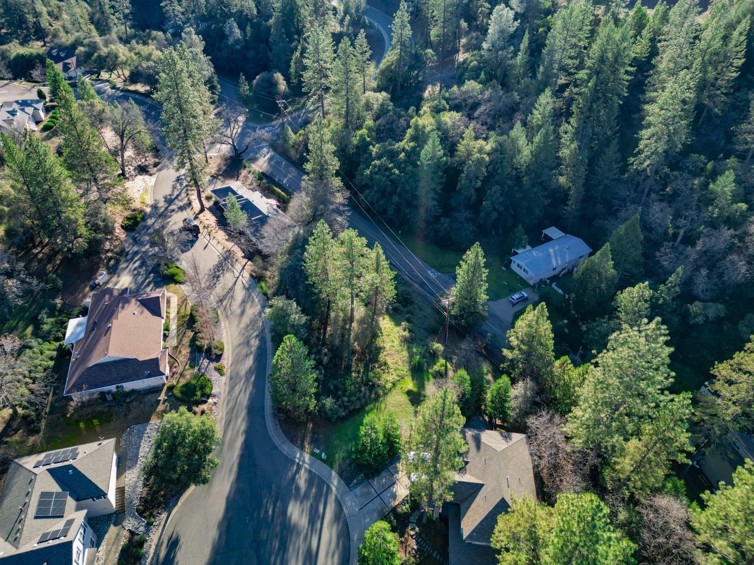 Liberty Mine Court, Placerville, California image 6