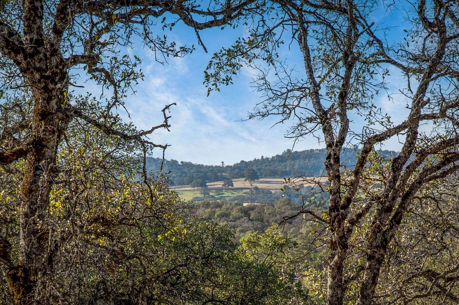 Macdonald Road, Grass Valley, California image 4