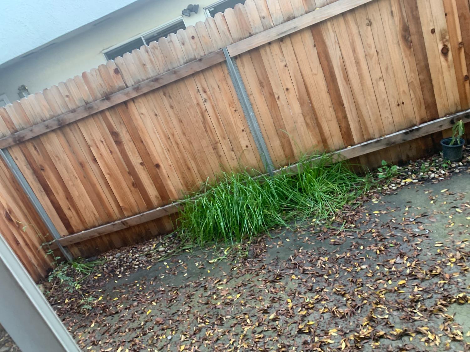 Coloma Road #3, Rancho Cordova, California image 24