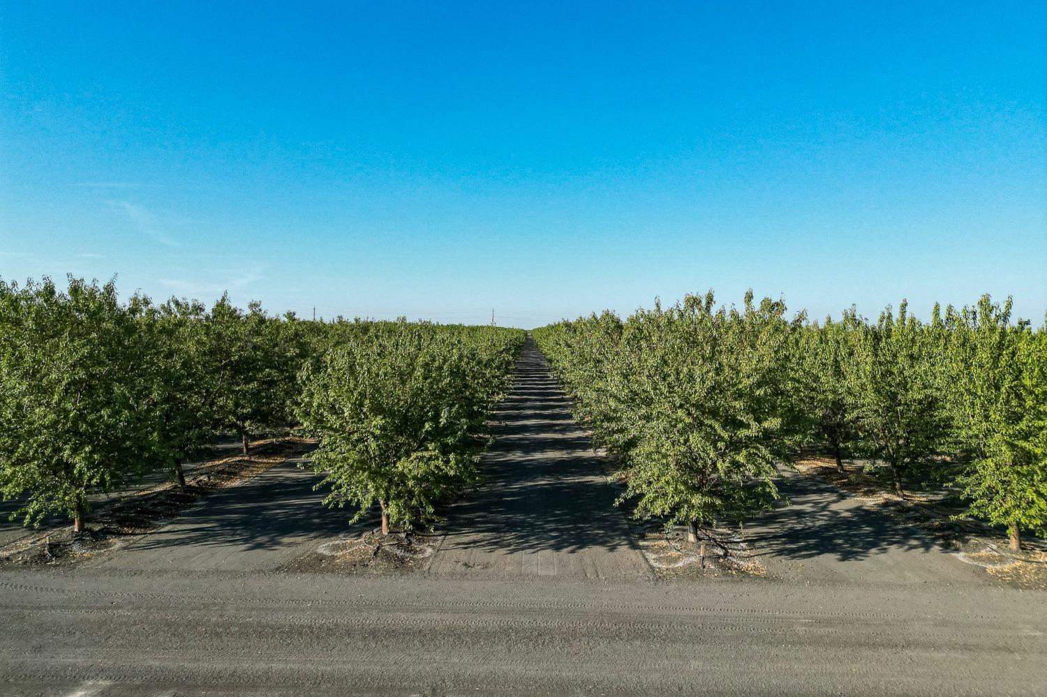 S James Road, Tranquillity, California image 8