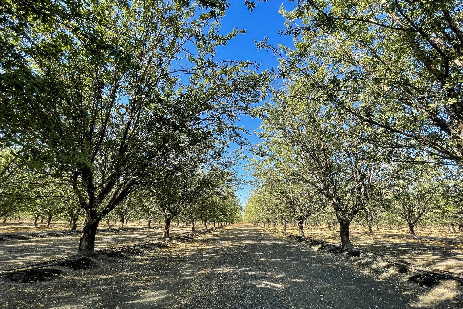 S James Road, Tranquillity, California image 19