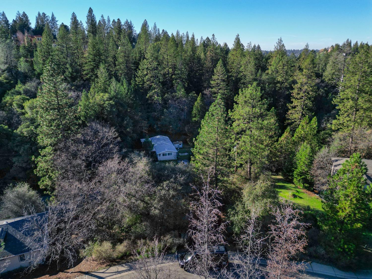 Liberty Mine Court, Placerville, California image 10