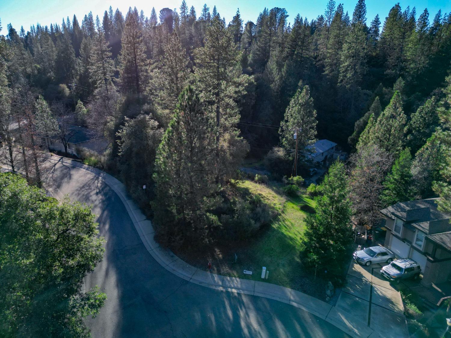 Liberty Mine Court, Placerville, California image 8