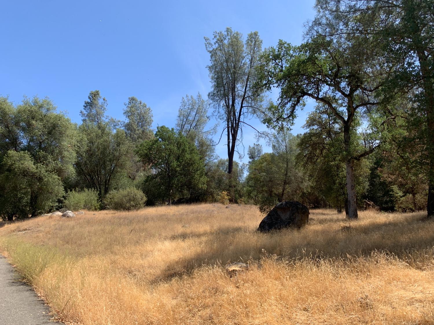 Burl Drive, Mariposa, California image 9