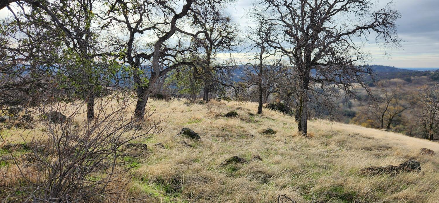 Perimeter Road, Grass Valley, California image 3