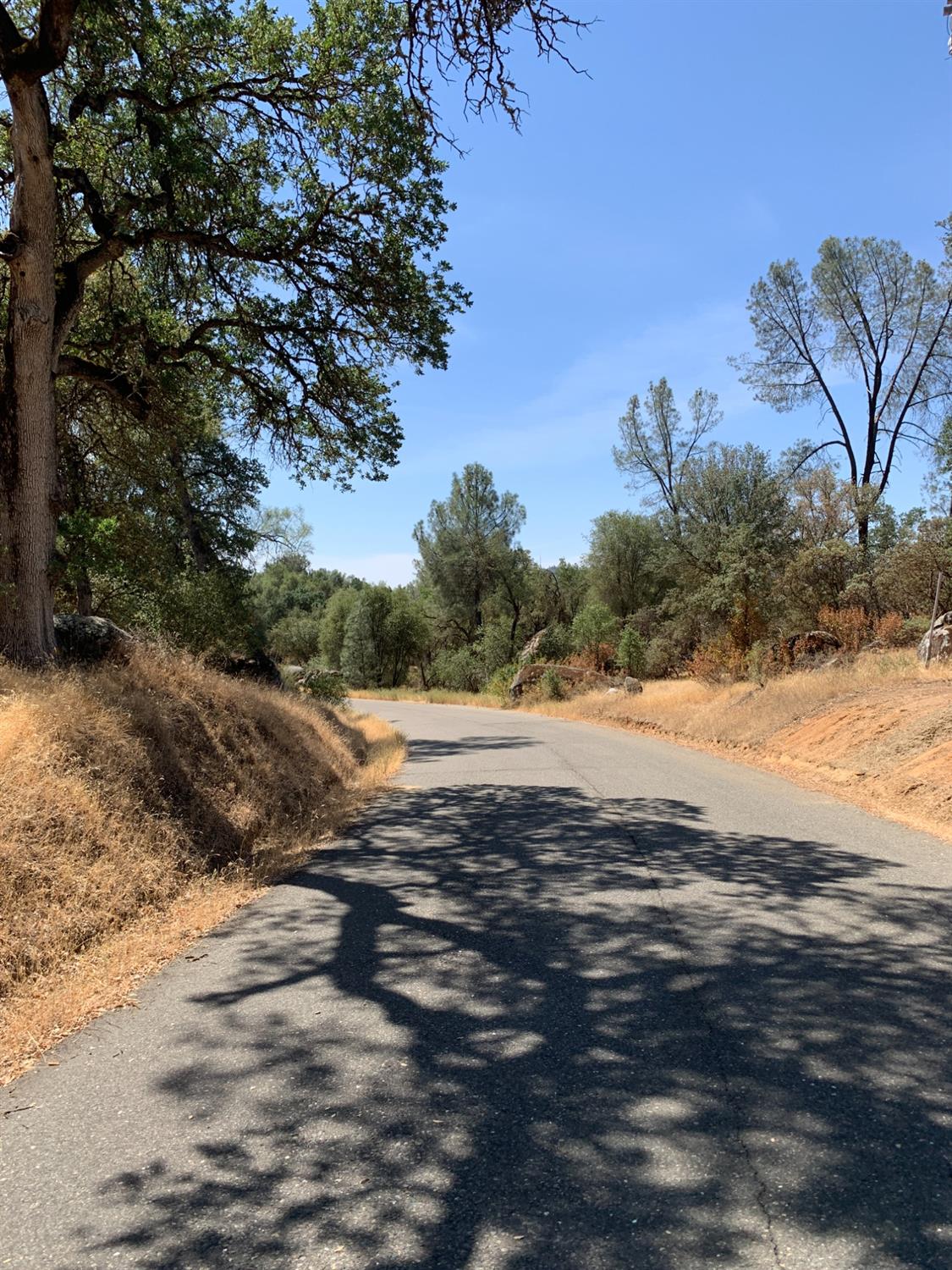 Burl Drive, Mariposa, California image 3