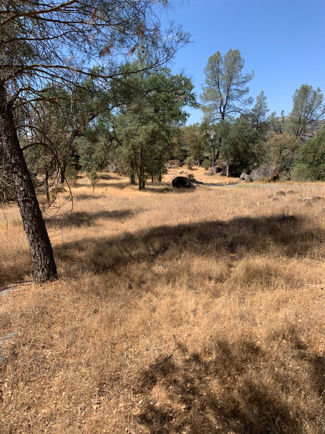 Burl Drive, Mariposa, California image 8