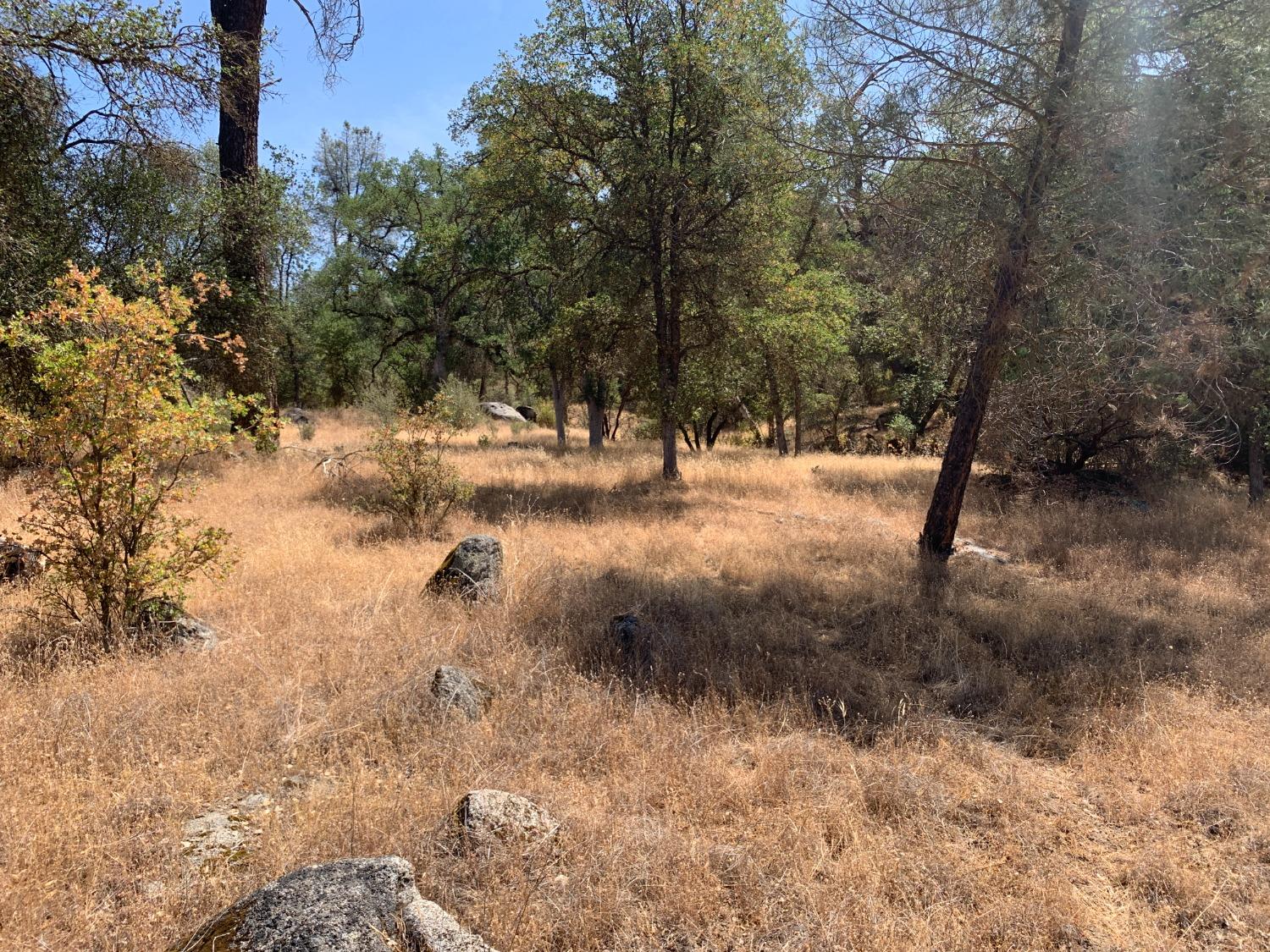 Burl Drive, Mariposa, California image 4