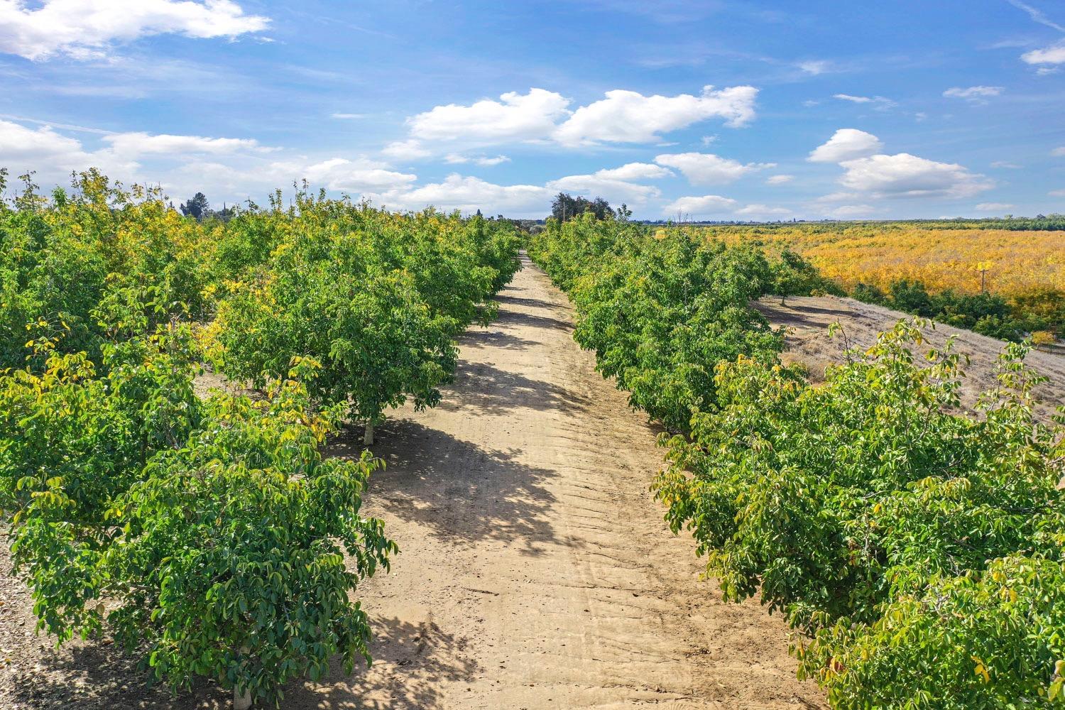 N Mackville Road, Clements, California image 1