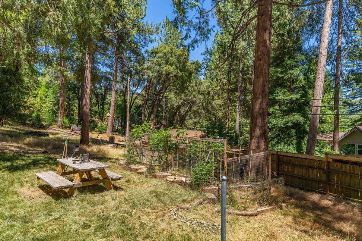 Mckenzie Drive, Pioneer, California image 37