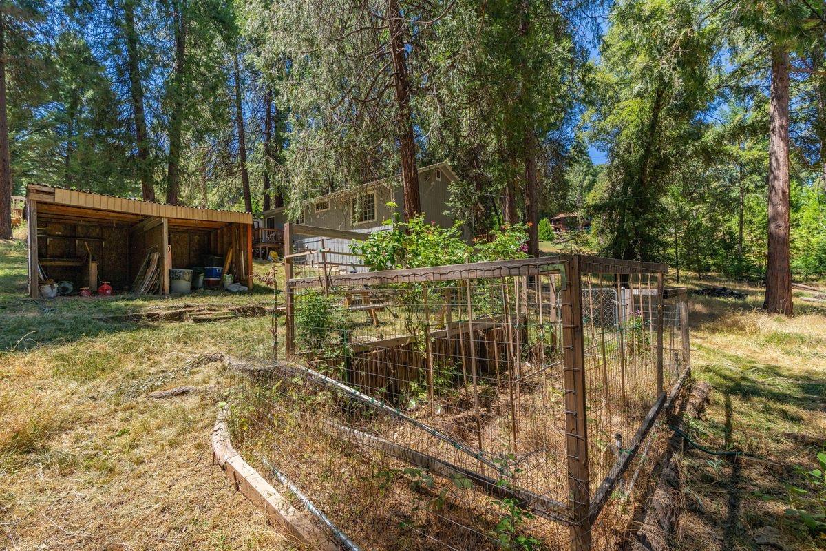 Mckenzie Drive, Pioneer, California image 36
