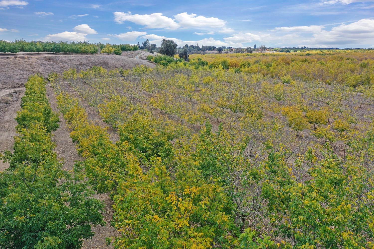 N Mackville Road, Clements, California image 20