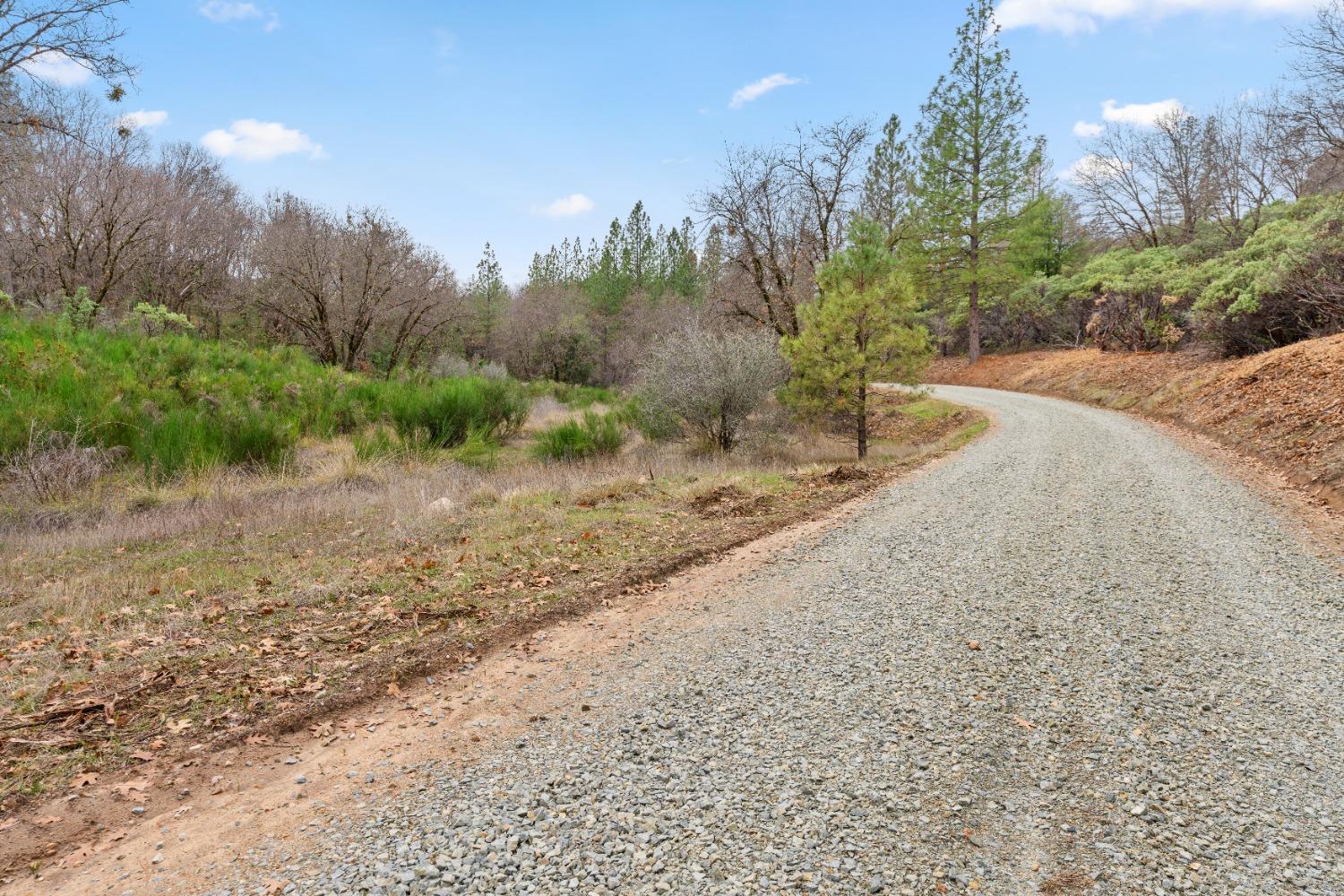 Hyatt Road, Nevada City, California image 8