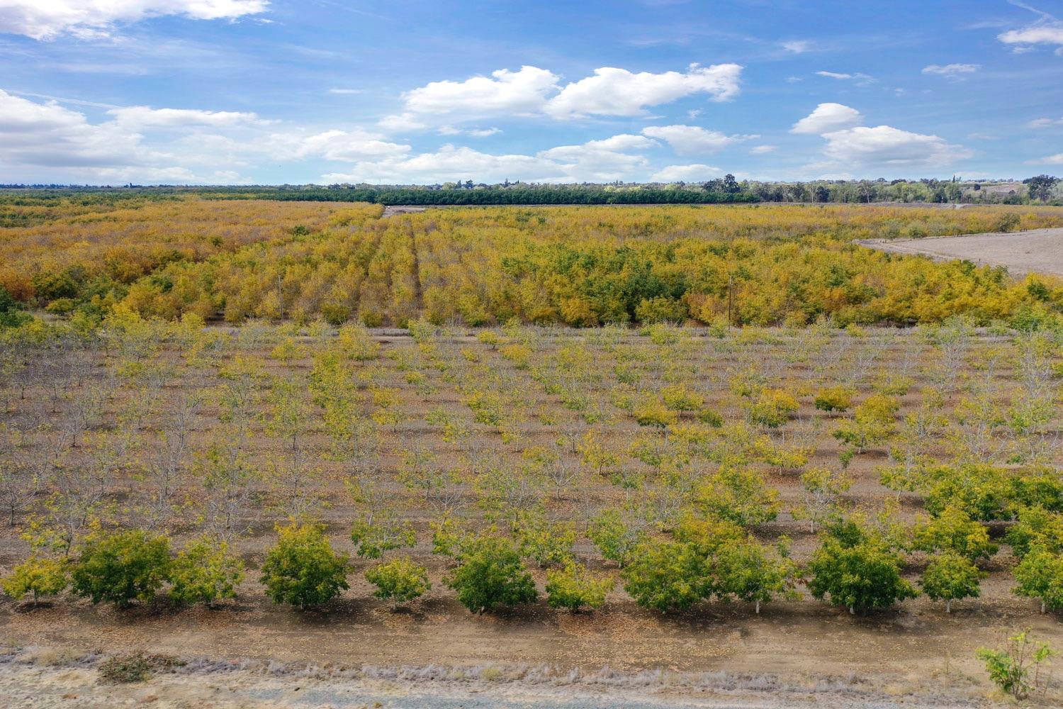 N Mackville Road, Clements, California image 18