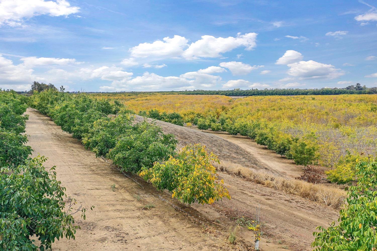 N Mackville Road, Clements, California image 4