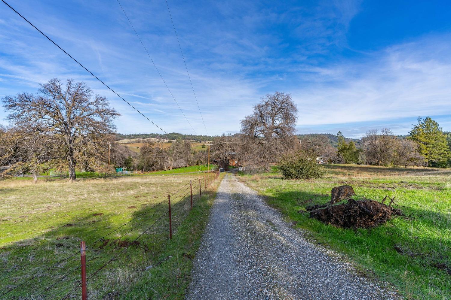 Rolling Meadow Drive Lot 14, Murphys, California image 5