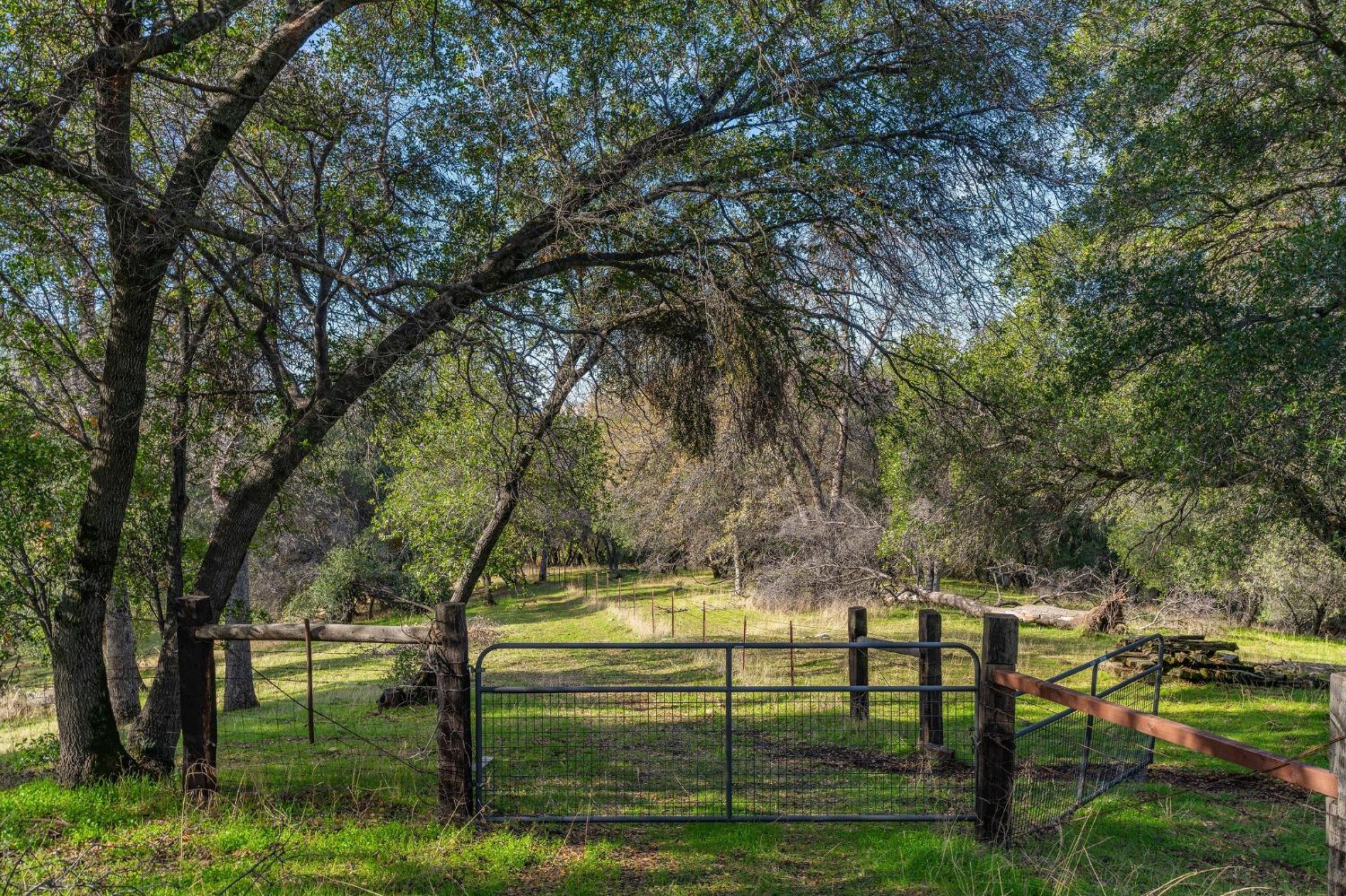 Rolling Meadow Drive Lot 14, Murphys, California image 19