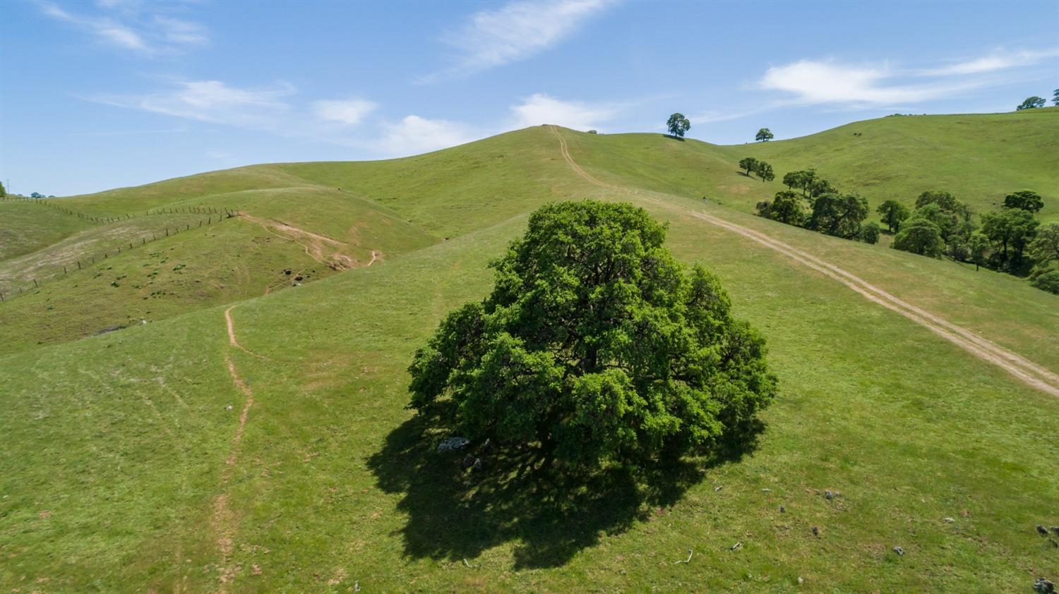 New Chicago Road, Drytown, California image 17