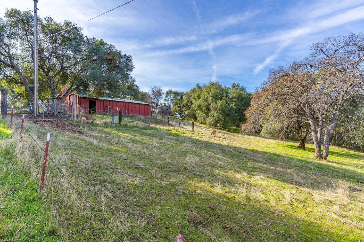 Rolling Meadow Drive Lot 14, Murphys, California image 6