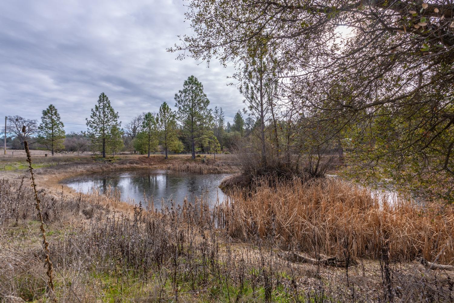 Hidden Ranch Road, Somerset, California image 32