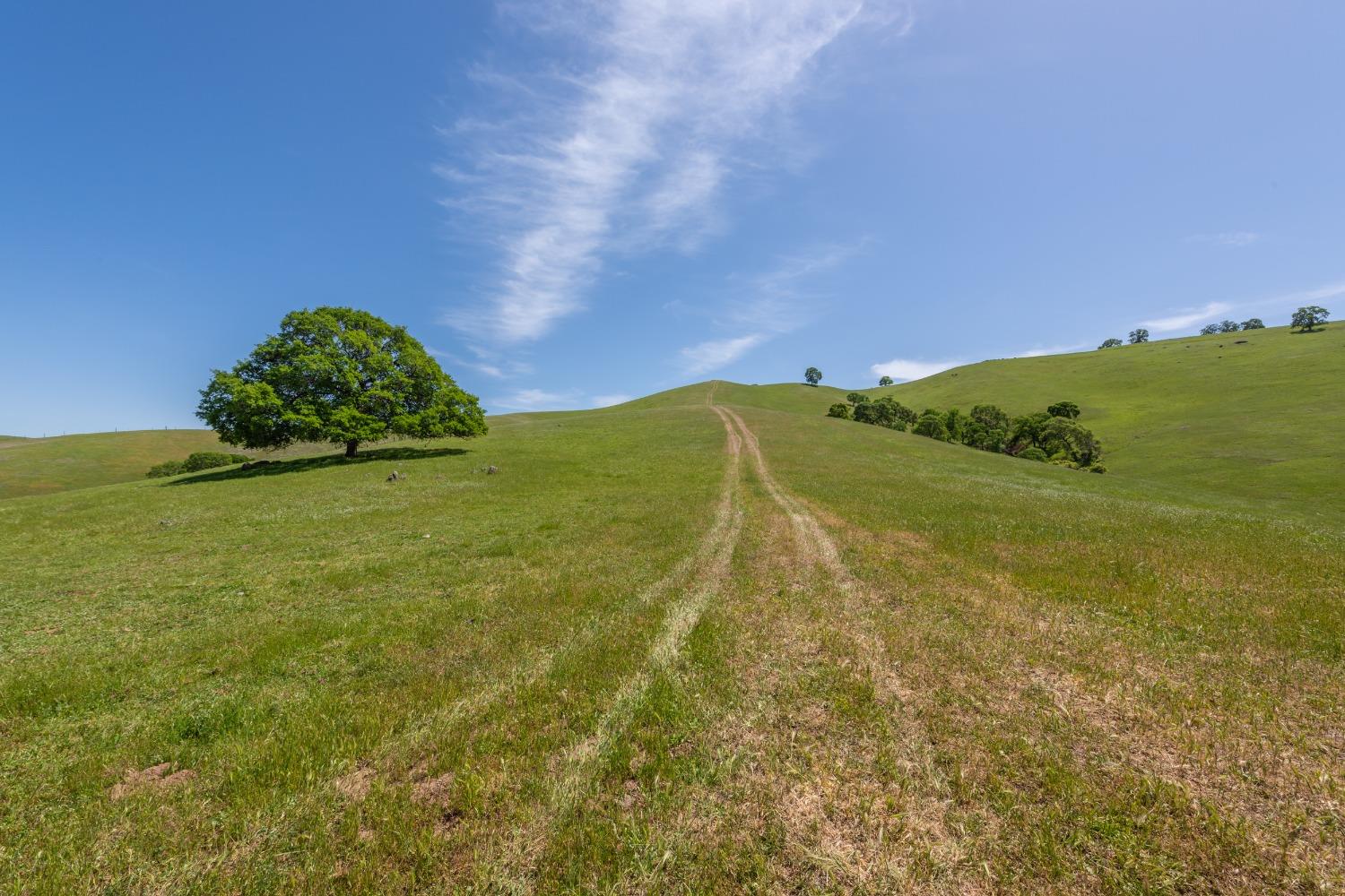 New Chicago Road, Drytown, California image 9